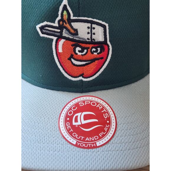 FORT WAYNE TINCAPS Hat Minor League Baseball Cap MiLB Youth Adjustable New wTags - Picture 6 of 10